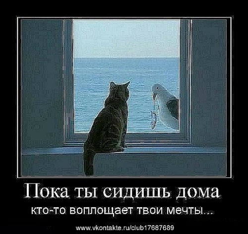 x_1d19b290.jpg