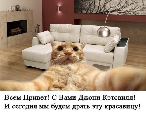 8_nOZI7q6oc.jpg