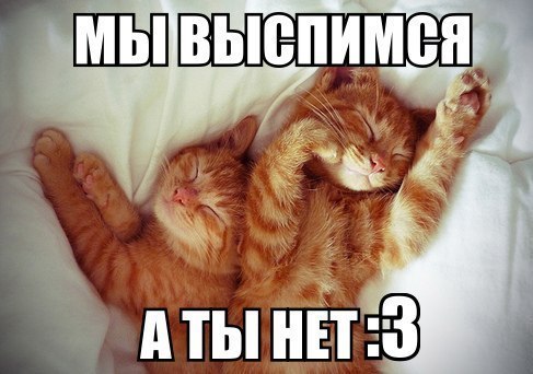 nULAiQKZoTM.jpg