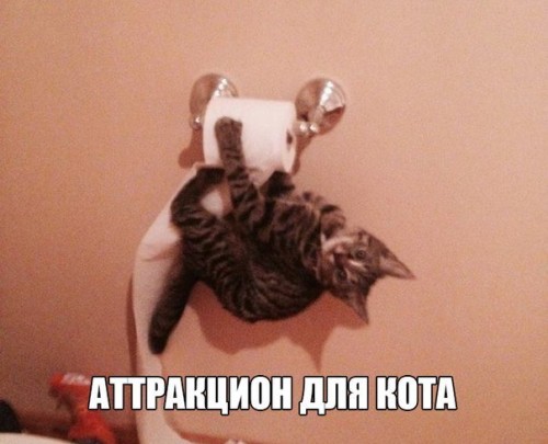 gd5tVmEOvLA.jpg