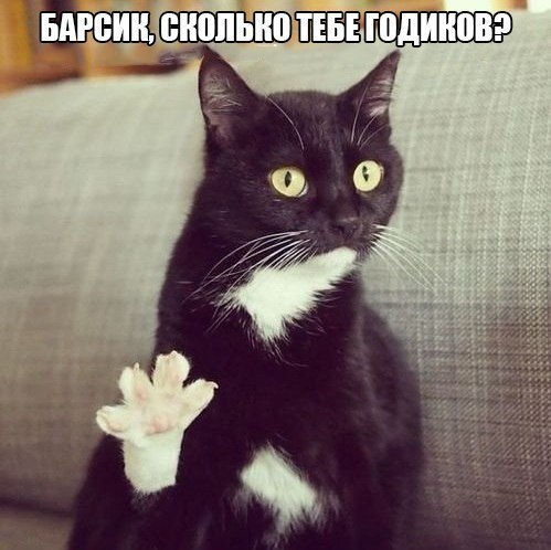MfGEgDUWUhU.jpg
