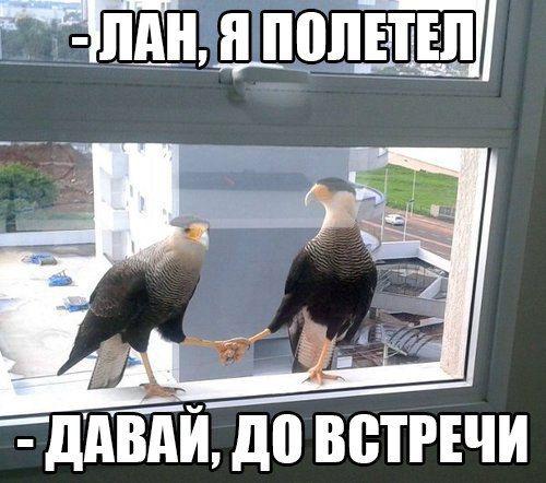 2ee4d8.jpg