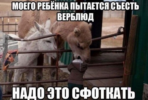 06335b.jpg