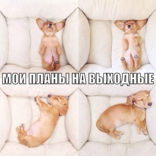 95472a.jpg