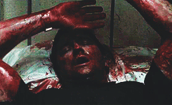 tumblr_mnqhjcD2mt1qgx2ojo8_250.gif