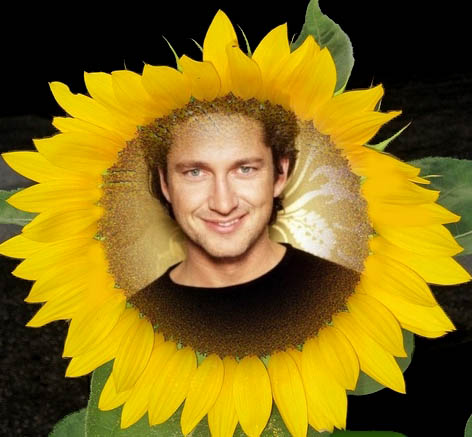 gerry_smiling_sunflower.jpg
