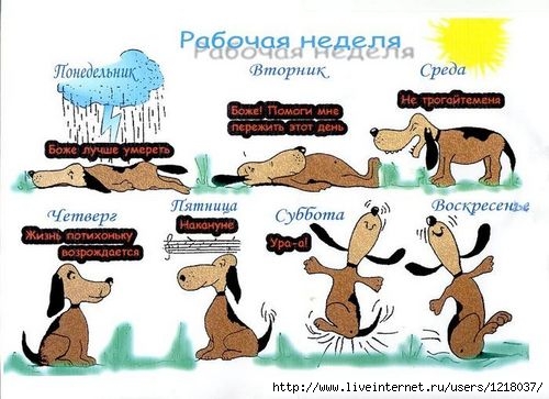 16664357_5376488_4991857_rABRCHAYA_NEDELYA.jpg