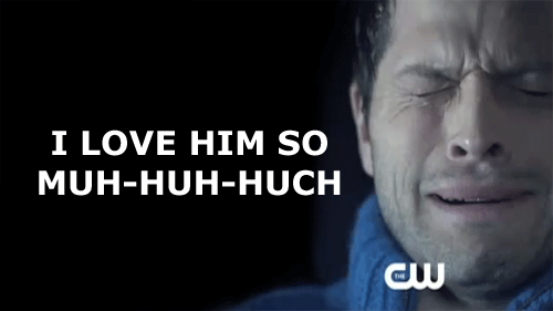 tumblr_lz1iblKVm61qf8ffi.gif