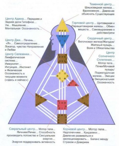 Центры по карте человека.jpg