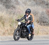 22279045-006.jpg