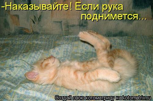 364179[1].jpg