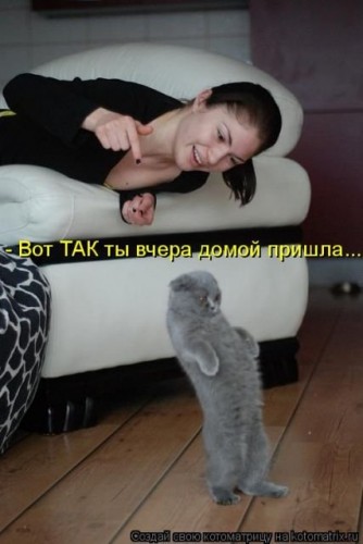 k1.jpg