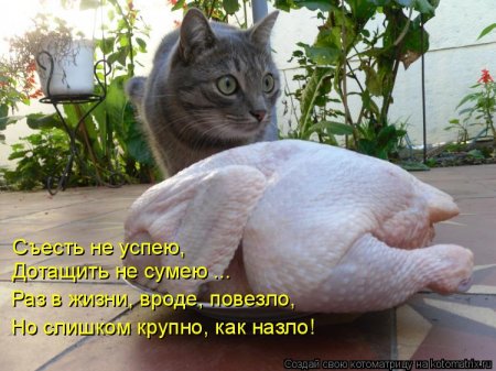 1289851887_737738[1].jpg