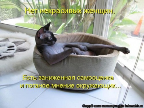 78770472_large_kotomarix_04640x480[1].jpg