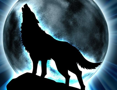 Wolf.jpg