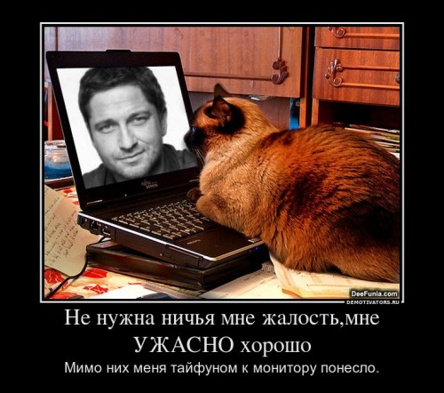 250357_ne-nuzhna-nichya-mne-zhalostmne-uzhasno-horosho_demotivators_ru[1].jpg