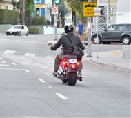 22518274-010.jpg