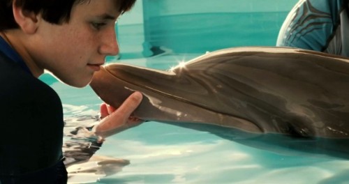 dolphin-tale-trailer.jpg