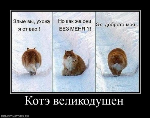 котэ-демотиваторы-смешные-демотиваторы-52426.jpeg