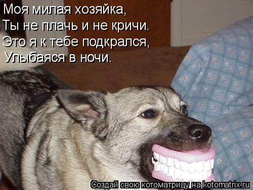 78_0944950c45c1c991a3d10c98ba54195c[1].jpg