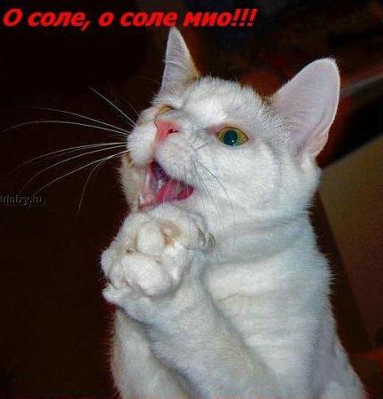 0bc06fd6ea7a38e0183be5ff58aa6299_full.jpg