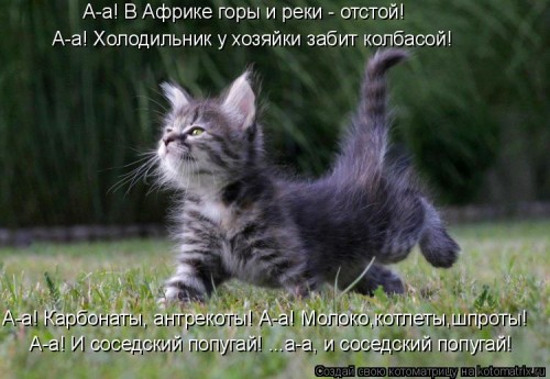 ко0.jpg