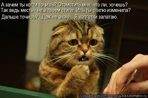 ко1.jpg