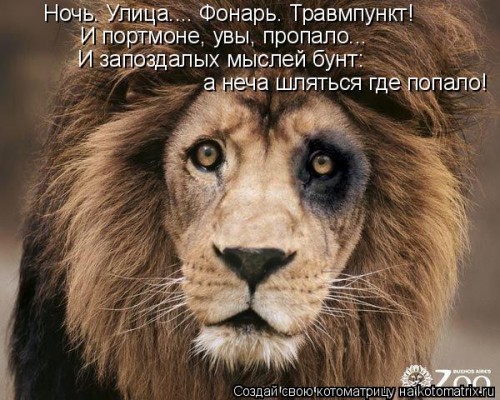 ко3.jpg