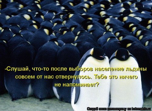 ко4.jpg