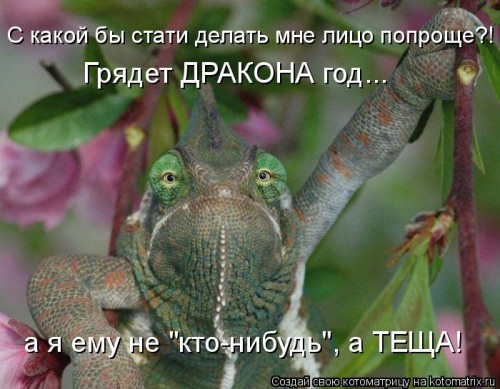 ко5.jpg