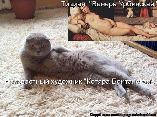 ко6.jpg