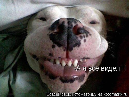 ко7.jpg