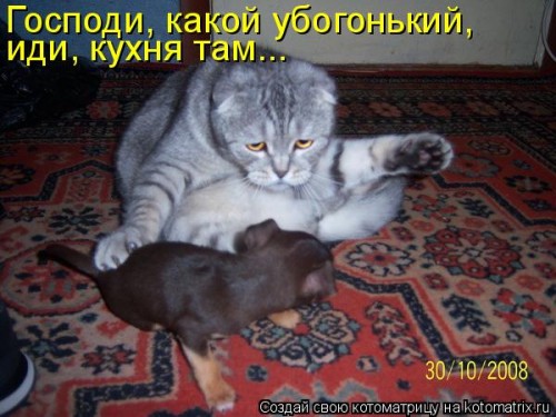 http://gbutler.ru/forum/download/file.php?id=6235&amp;t=1