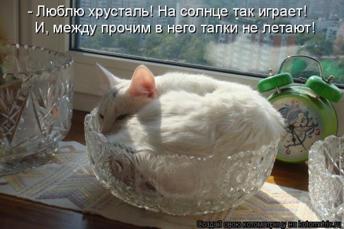 1067396[1].jpg