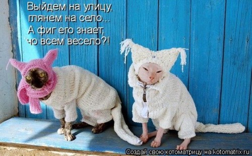 x_4432510f.jpg