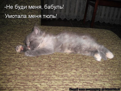 1086635[1].jpg