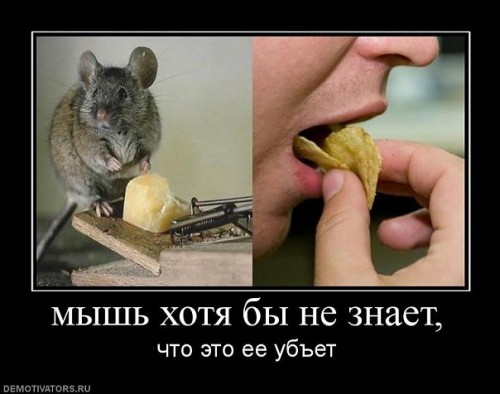 1293967113_foto-prikol.net_demotivatory-prizyvayuschie-zadumatsya-115.jpg