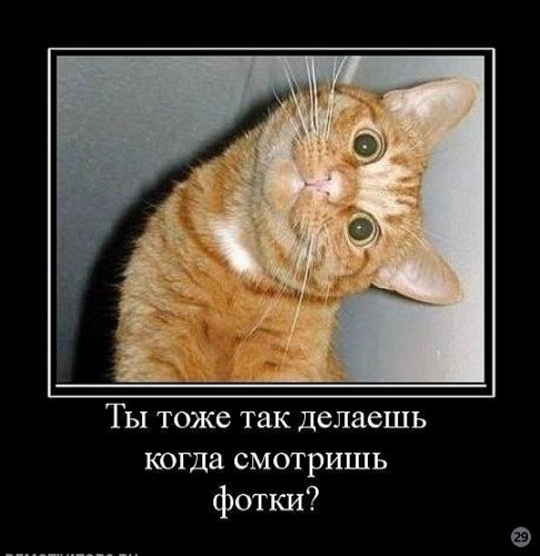 x_ad1408b7.jpg