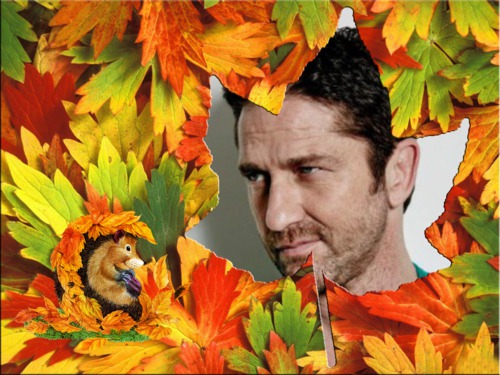 photofacefun_com_1489495514.jpg
