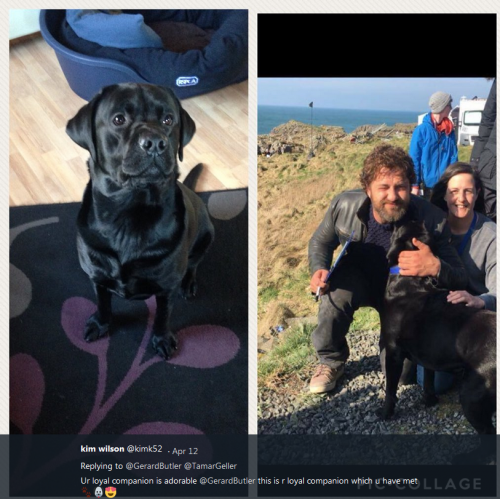 Безыa1мянный.png