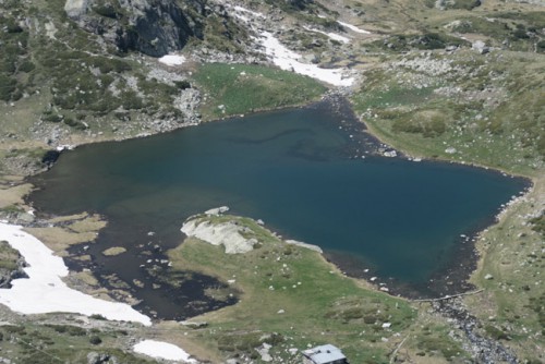005_trilistnika.jpg