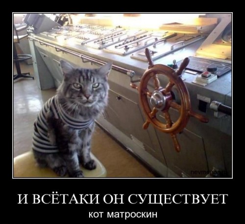 179642.jpeg