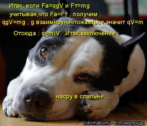 clip_image001.jpg
