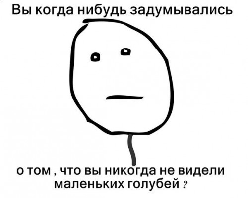 x_fb33ee0d.jpg