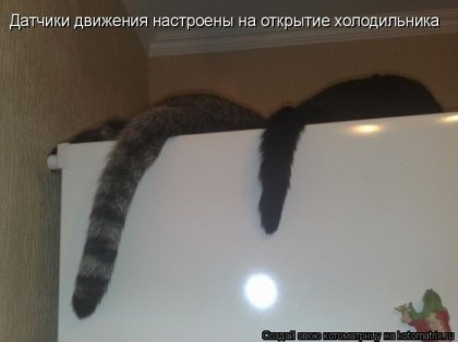1288900520_kotomatrix-10.jpg