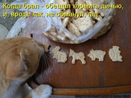 1288900536_kotomatrix-3.jpg