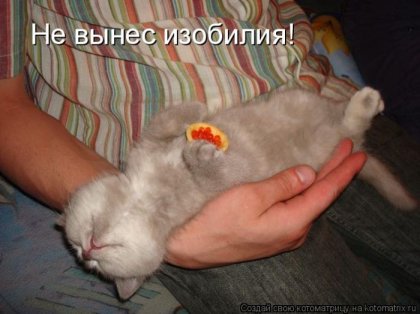 1288900539_kotomatrix-6.jpg
