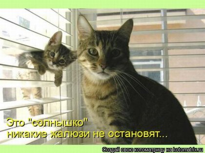 1288900554_kotomatrix-7.jpg