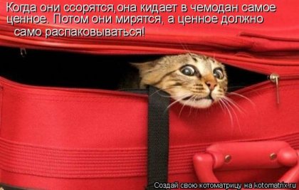 1288900555_kotomatrix-1.jpg