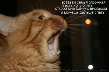 1288900572_kotomatrix.jpg